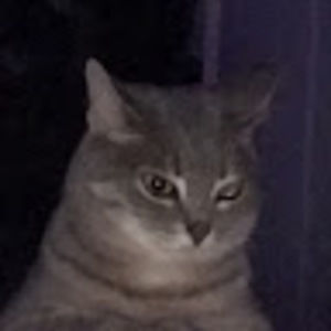 Meet your Posher, Norah